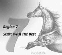 Region 7 Arabian Horse Show 2011 Results